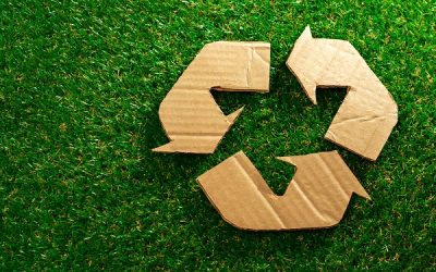 O que é marketing sustentável e como ele é importante para o seu negócio