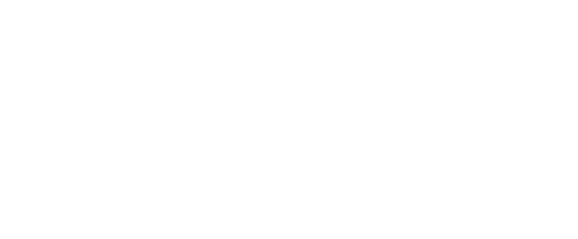 logo-zona-sul